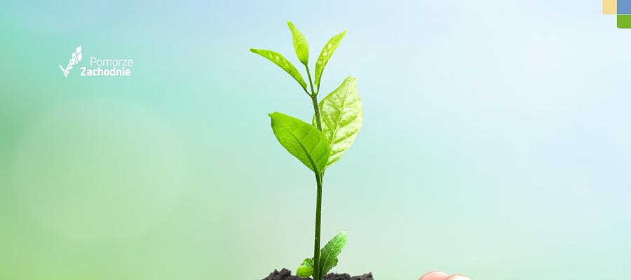 Polityka miejska i Europejski Zielony Ład a Pomorze Zachodnie Polityka miejska i Europejski Zielony Ład a Pomorze Zachodnie